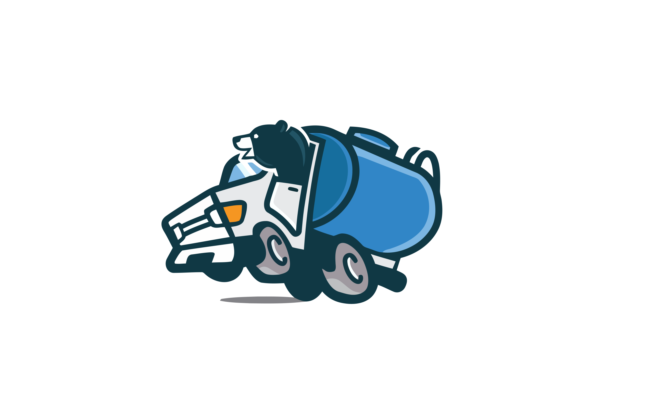 Bear Country Septic Services logo